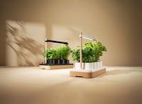 Indoor Herb Systems Image 2