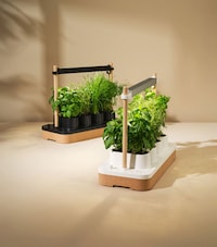 Indoor Herb Systems Image 3