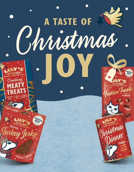 Wintery Pet Product Ranges