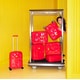Bold Red Luggage Series Image 1