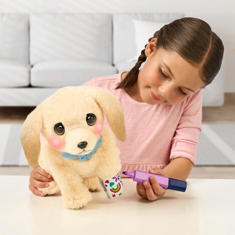 Puppy Care Toys