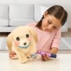 Puppy Care Toys Image 1