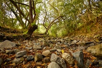 Restorration-Focused Land Acquisitions Image 1