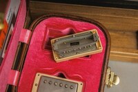 Rare Electric Guitar Pickups