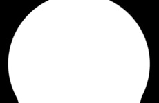 Truffle-Infused Brie Cheeses