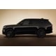 Bronze-Accented Monochromatic SUVs Image 2