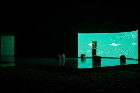 Botanical Signal Exhibits