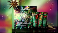 Seasonal Haircare Kits Image 1