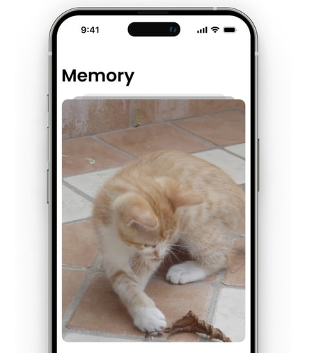 Digital Memory Journals