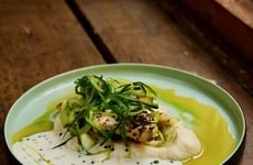 Sustainable Seafood-Free Fillets