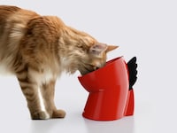 Dinosaur-Inspired Cat Bowls
