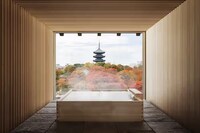 Hotel Brand Launches Image 4