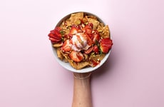 Cinnamon-Dusted Tortilla Chips