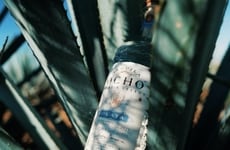 Farmer-Supporting Tequila Series