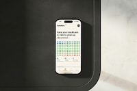 Action Plan-Focused Health Platforms
