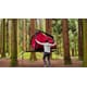 Omni-Position Camping Tents Image 5