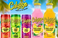 Extra-Fruity Zero-Sugar Sodas