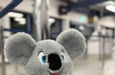 Mental Health Plushies