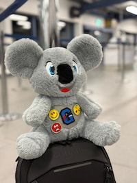 Mental Health Plushies