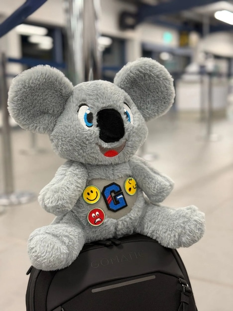 Mental Health Plushies