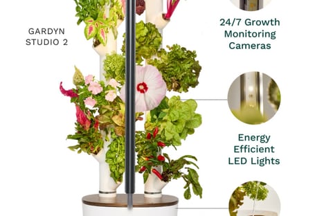 AI-Powered Plant Care Systems