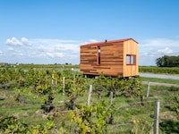 Light Filled Tiny Houses Image 3