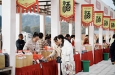 Wine-Themed Folk Culture Festivals