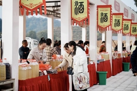 Wine-Themed Folk Culture Festivals