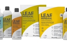 Eco-Friendly Household Cleaning Solutions