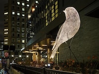Immersive Illuminated Artistic Installations Image 3