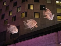 Immersive Illuminated Artistic Installations Image 4