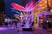 Immersive Illuminated Artistic Installations Image 5