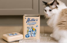 Pet-Friendly Laundry Detergents