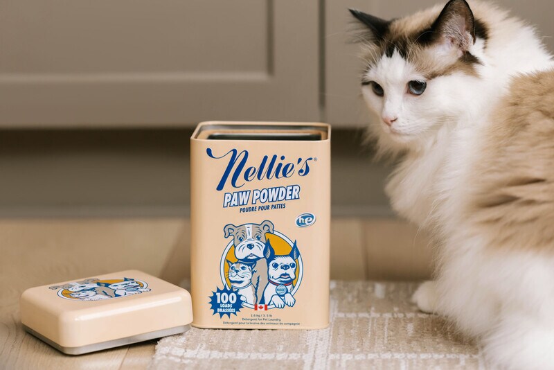 Pet-Friendly Laundry Detergents Article Thubnail