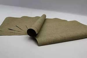 Biodegradable Barrier Papers Article Thubnail