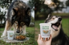 Functional Dog Salads