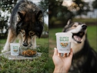 Functional Dog Salads