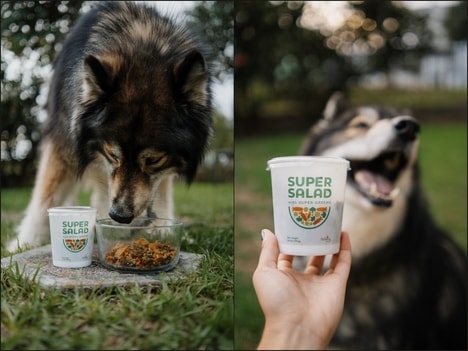 Functional Dog Salads