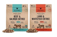 Freeze-Dried Raw Foods