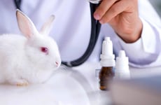 Veterinary Medicine Advancements