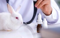 Veterinary Medicine Advancements