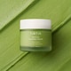 Pudding-Like Matcha Moisturizers Image 1