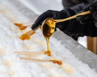 Maple-Themed Canadian Traditions Image 1