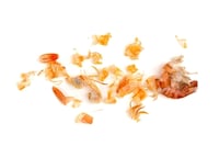 Shrimp Waste Carbon Materials