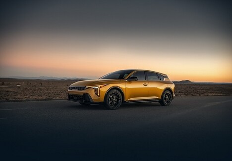 Dynamic Auto Designs