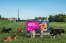 Pet-Finding Billboards