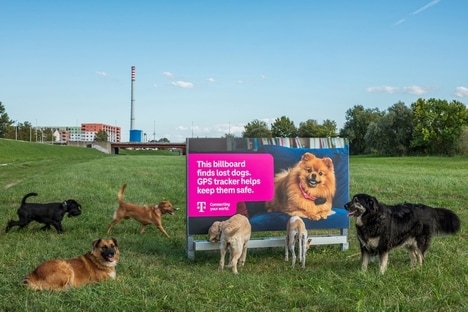 Pet-Finding Billboards