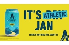 Moderate Drinking Campaigns