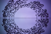 Iridescent Ceramic Installations Image 2