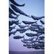 Iridescent Ceramic Installations Image 3
